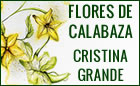 Presentación de FLORES DE CALABAZA, de Cristina Grande