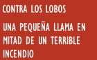 Presentación de CONTRA LOS LOBOS y UNA PEQUEÑA LLAMA EN MITAD DE UN TERRIBLE INCENDIO